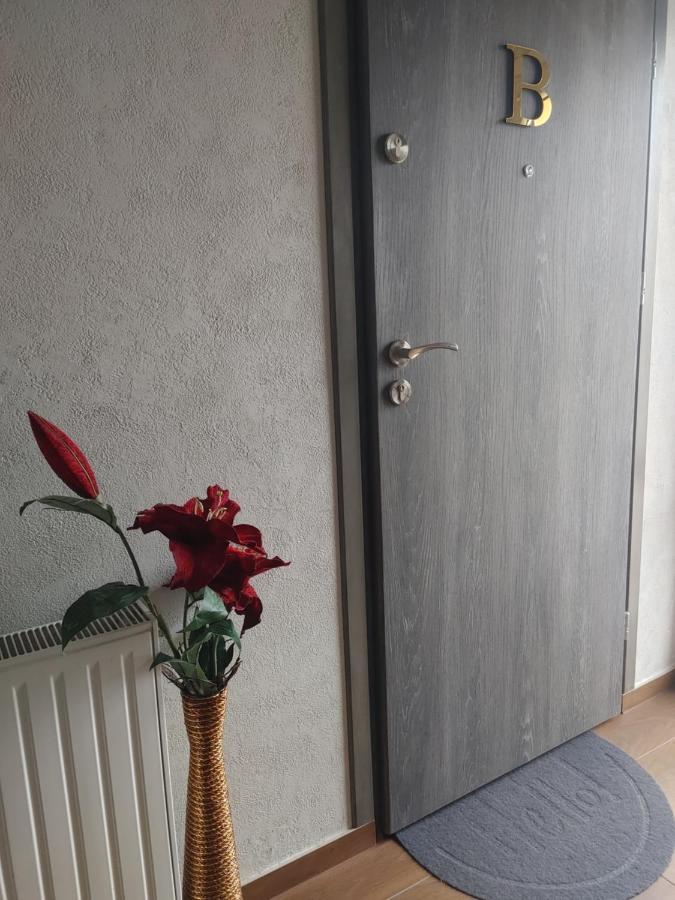 Apartamenty U Zofii Iława Dış mekan fotoğraf